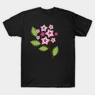 Hoya australis plant with flowers T-Shirt
